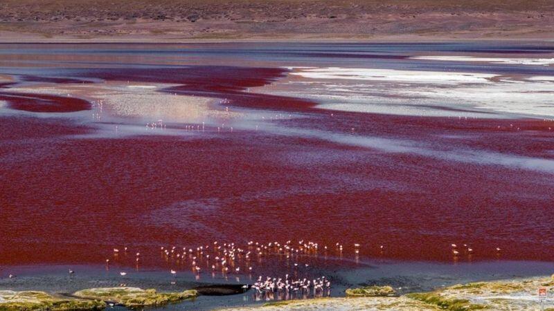 Panorama Pelangi yang Menakjubkan di Padang Garam Bolivia