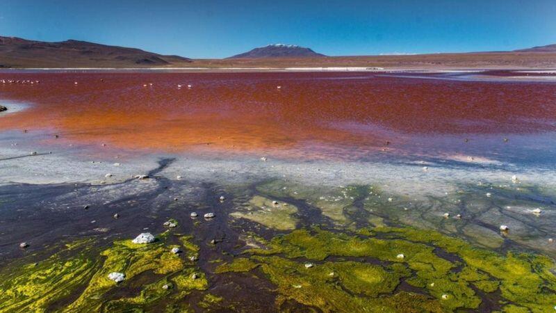 Panorama Pelangi yang Menakjubkan di Padang Garam Bolivia