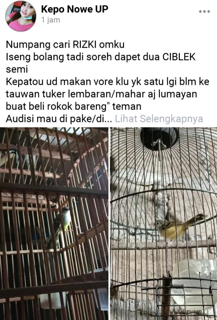 Ekonomi Sulit Dimasa Covid, Adaptasi Mencari Uang Dengan Sistem Online