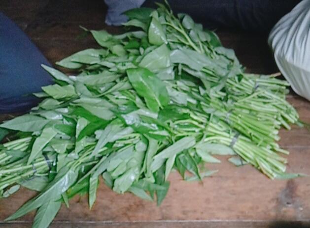 Beradaptasi Dari Kebiasan Lama Ke Kebiasaan Baru, Tidak Mudah! Tapi Bisa Dilakukan