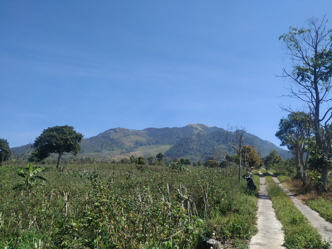 GUNUNG UNGARAN PUNYA JALUR BARU ! CATPER UNGARAN via Perantunan 27-28 Agustus 2020