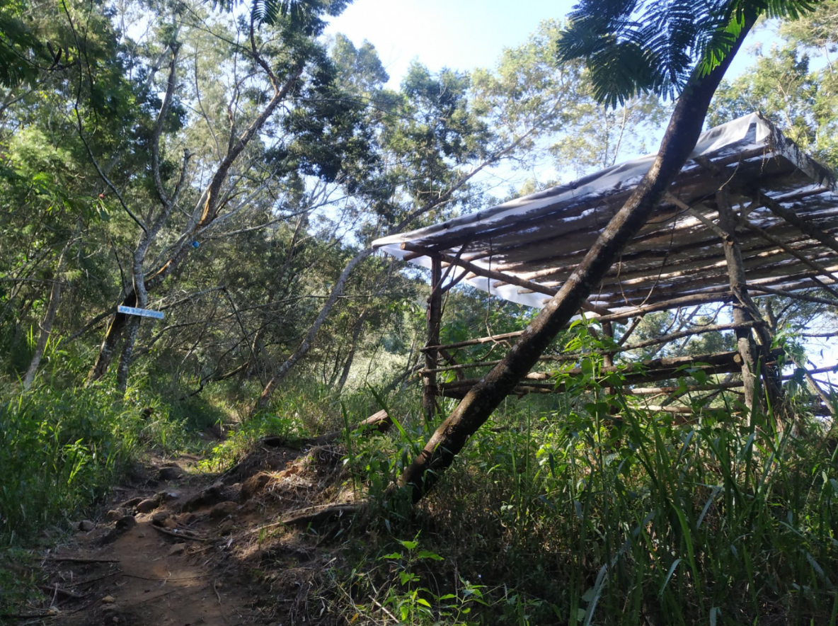 GUNUNG UNGARAN PUNYA JALUR BARU ! CATPER UNGARAN via Perantunan 27-28 Agustus 2020