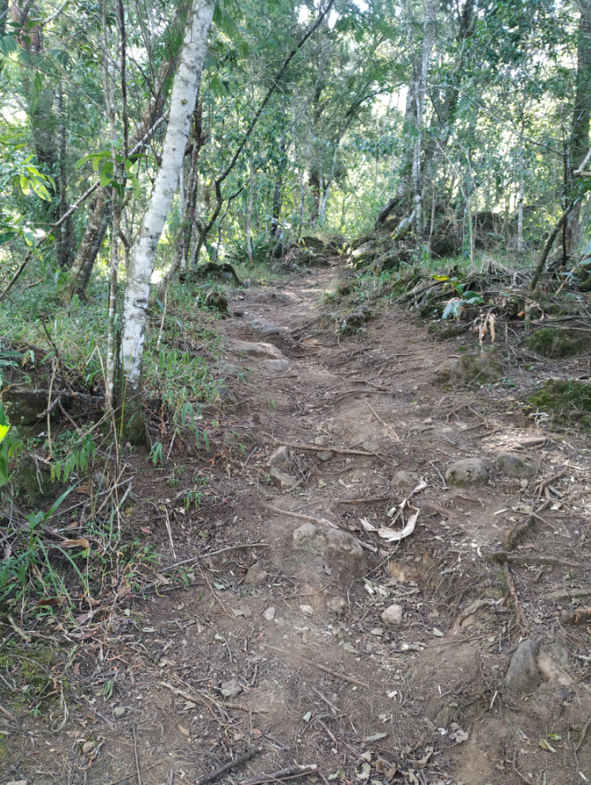 GUNUNG UNGARAN PUNYA JALUR BARU ! CATPER UNGARAN via Perantunan 27-28 Agustus 2020