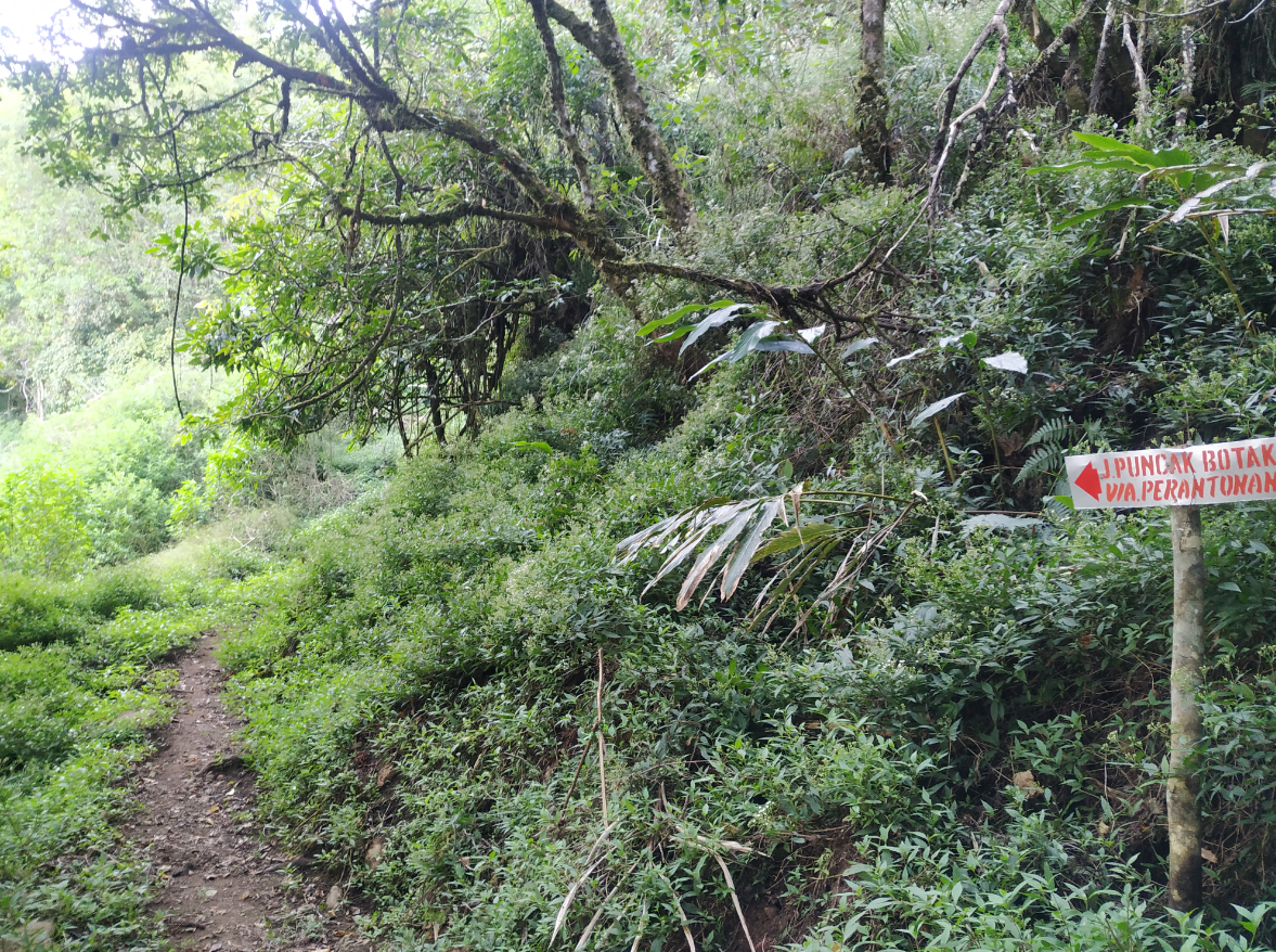 GUNUNG UNGARAN PUNYA JALUR BARU ! CATPER UNGARAN via Perantunan 27-28 Agustus 2020