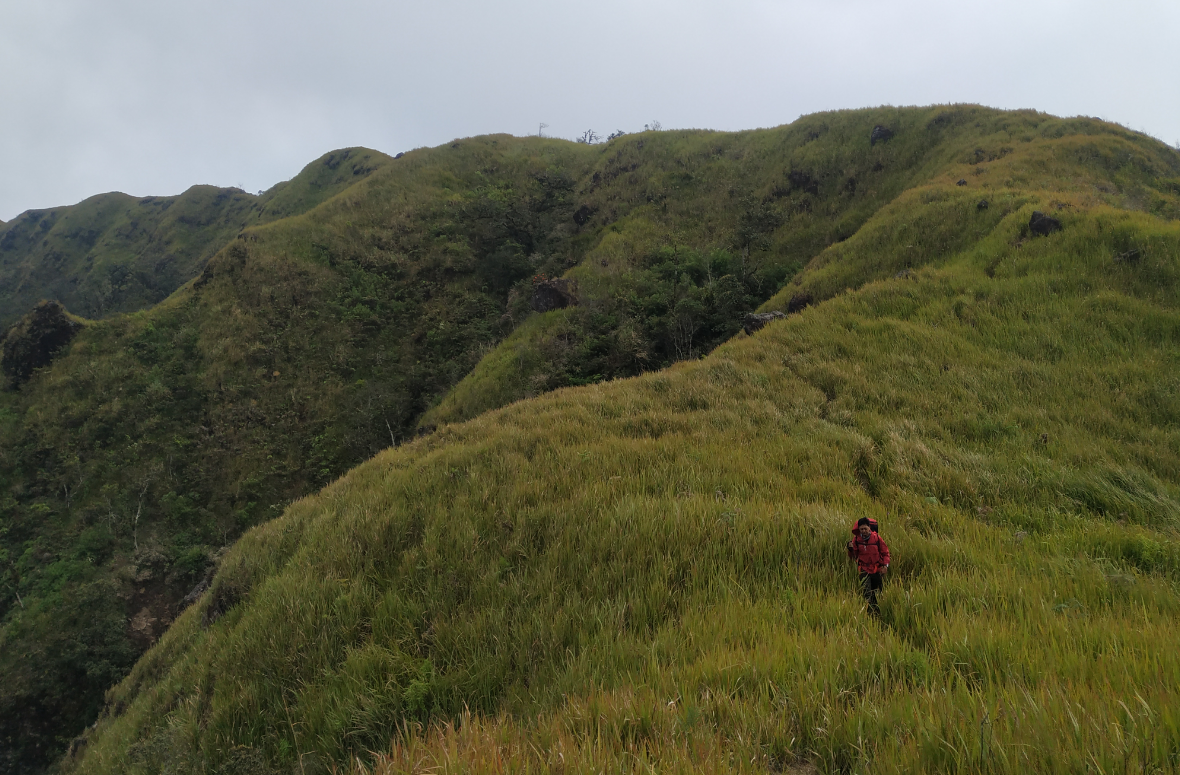 GUNUNG UNGARAN PUNYA JALUR BARU ! CATPER UNGARAN via Perantunan 27-28 Agustus 2020