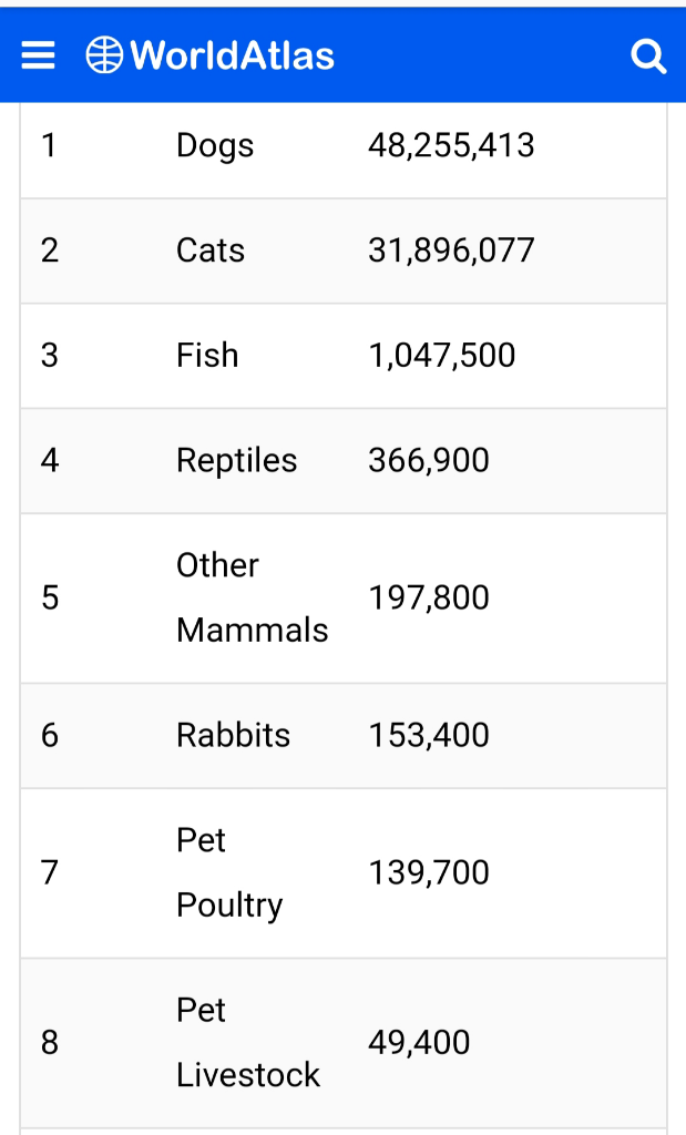 Apa Hewan Peliharaanmu? Atas Pertimbangan Expert, Saya Memelihara Ini