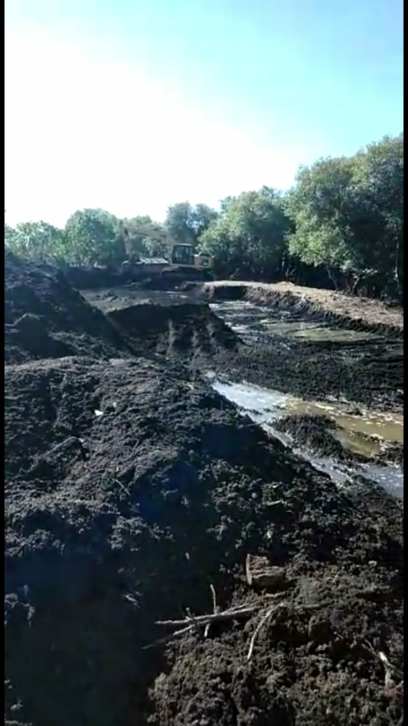 Diduga Pengusaha Tambak Udang Dan Oknum Mantan Kades Dalangi Pengrusakan Mangrove