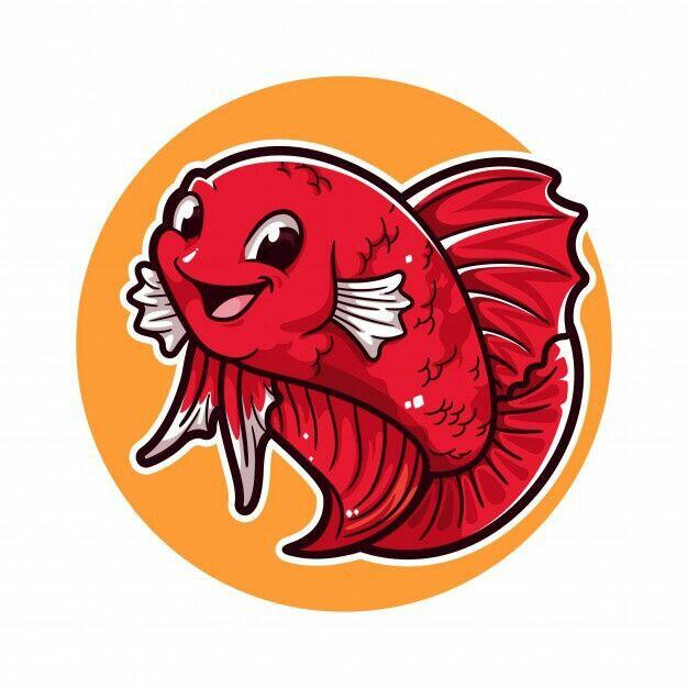 &#91;COCupang&#93; The Journey Of Cupang