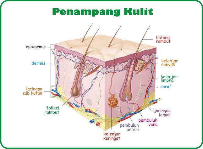 Kepo Self Harm: Makna, Penyebab, Mitos, dan Penyikapan Guys!