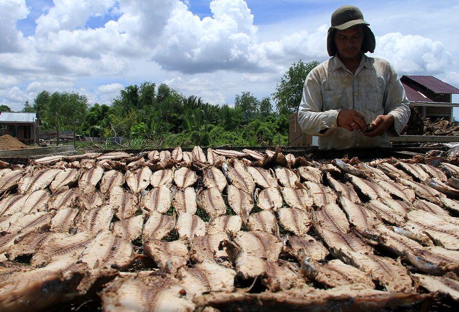 Daftar Kuliner Khas Aceh Yang Wajib Kamu Coba