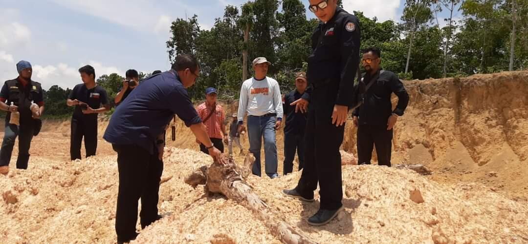 PERTAMA KALI DI INDONESIA HAKIM PUTUSKAN PIDANA BERLAPIS PELAKU TAMBANG ILLEGAL