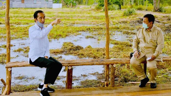 Dipimpin Prabowo, Proyek Lumbung Pangan Mulai Oktober
