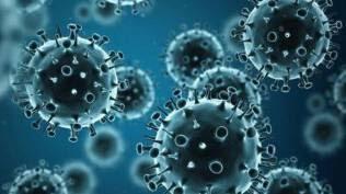 Gaya Hidup Ke Luar Rumah Before After Pandemi, Ribetkah?