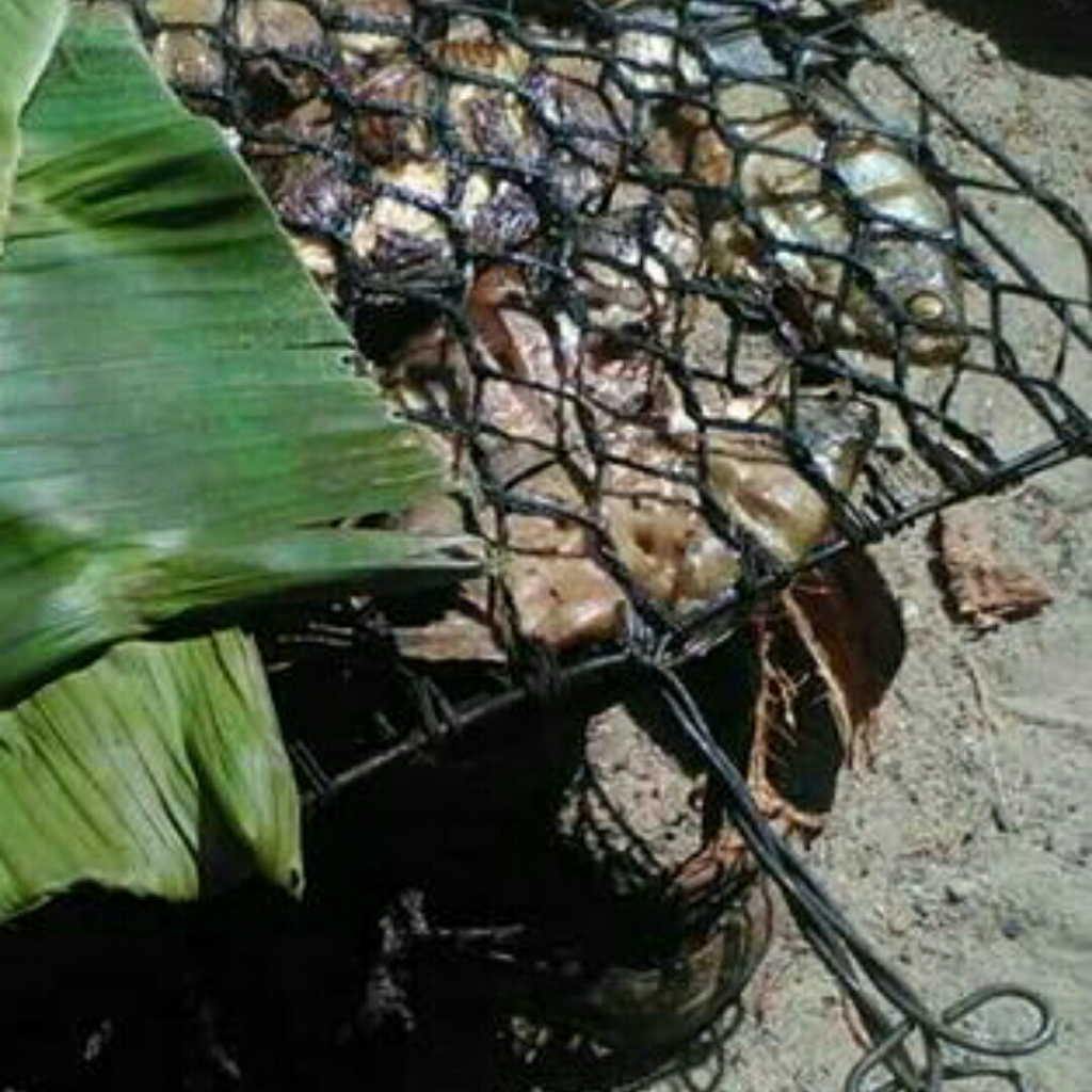 Apa Aja Kegiatan Anak Ndeso?