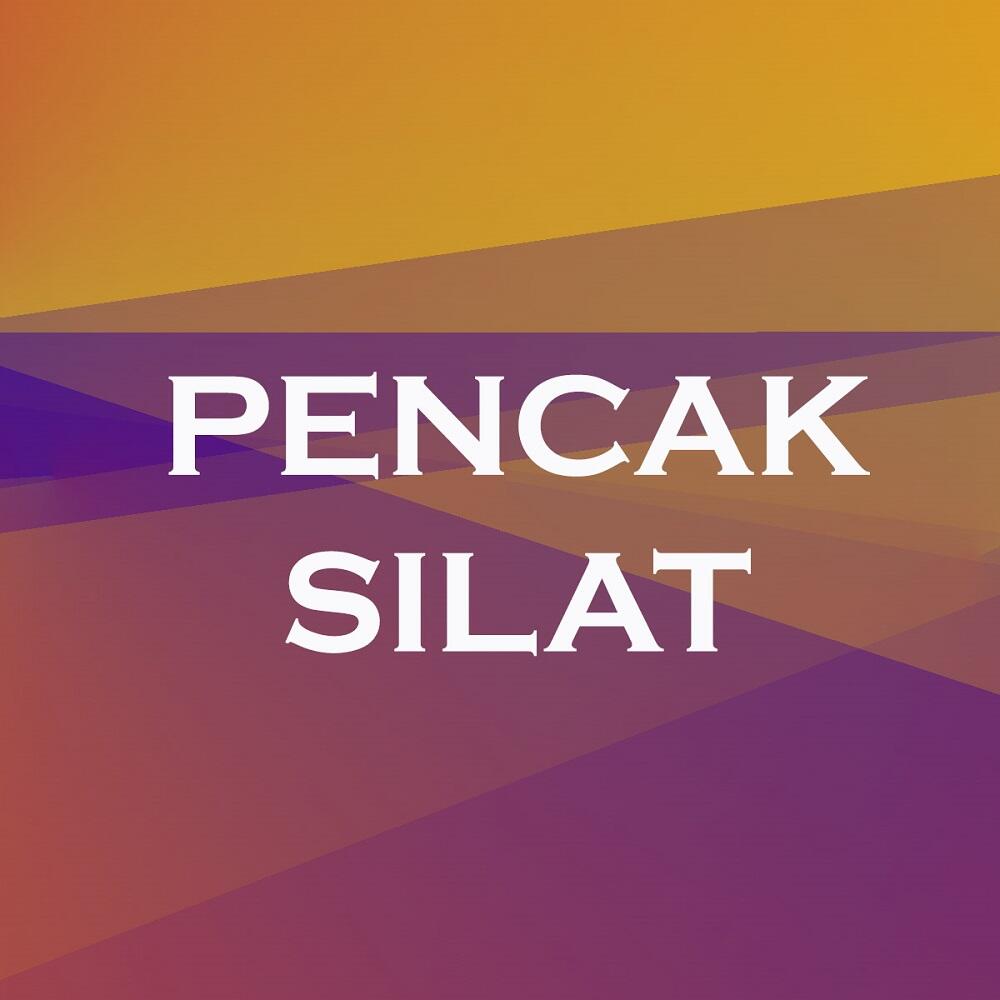 PENCAK SILAT - Beladiri dari Indonesia dan Sekitarnya. Patut-lah Kita Semua Bangga...