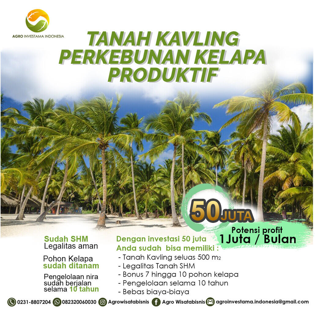 YUK BERBISNIS DI TANAH KAVLING PERKEBUNAN KELAPA PRODUKTIFDAN SUDAH BERPROFIT