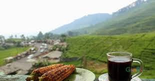Kenapa secangkir kopi di puncak harga nya berbeda. Ini alasan nyah!!!
