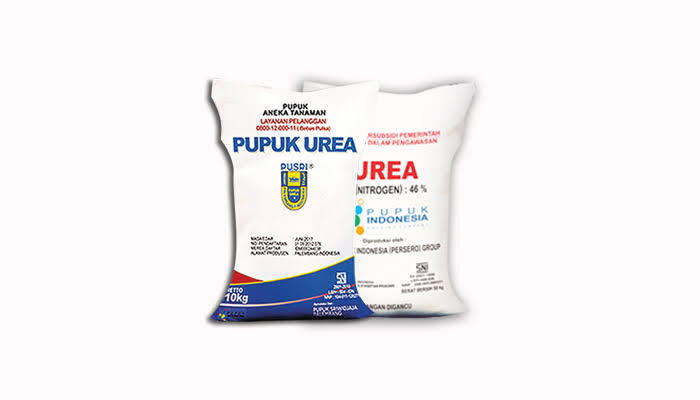 Inilah Fungsi Pupuk Pada Tanaman Kelapa Sawit!