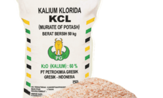 Inilah Fungsi Pupuk Pada Tanaman Kelapa Sawit!