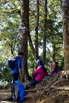 &#91;CATPER&#93; Pendakian Gunung Cikuray: Tektok via Pemancar 8 Agustus 2020
