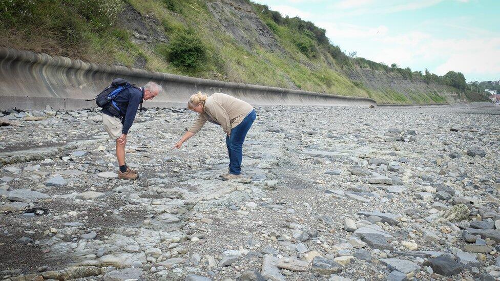 Jejak Kaki Dinosaurus Banyak Ditemukan di Pantai Wales