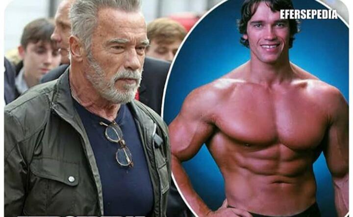 Arnold Schwarzenegger Seorang Gay?Cek Dulu Deh!