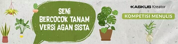 Si Bonsai Kelapa Cantik yang Memikat Hati, Ternyata Bisa Dibuat Sendiri Loh! 