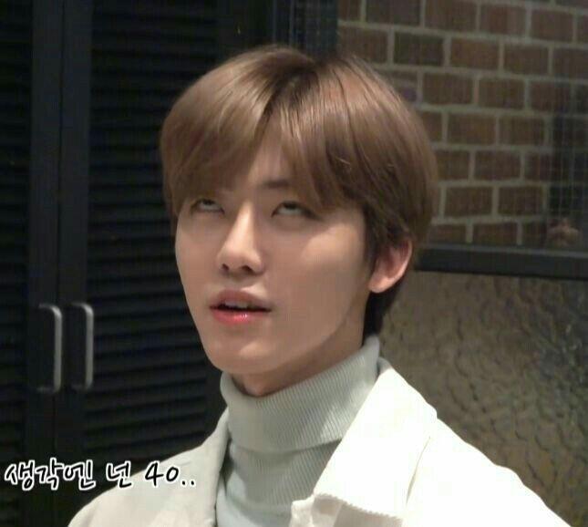 Kumpulan Meme NCT Yang Stickerable,mana Nih Favorit Kalian?
