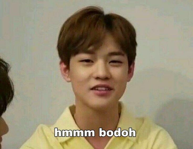 Kumpulan Meme NCT Yang Stickerable,mana Nih Favorit Kalian?