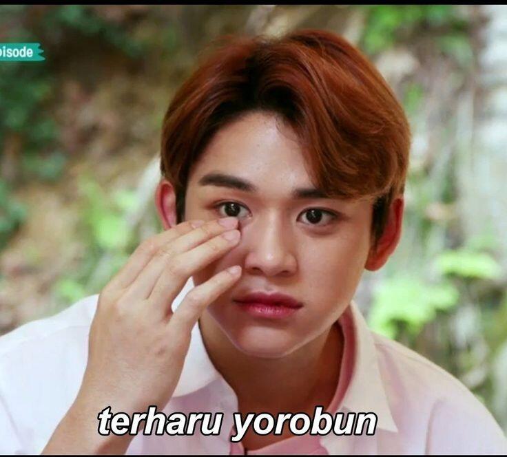 Kumpulan Meme NCT Yang Stickerable,mana Nih Favorit Kalian?