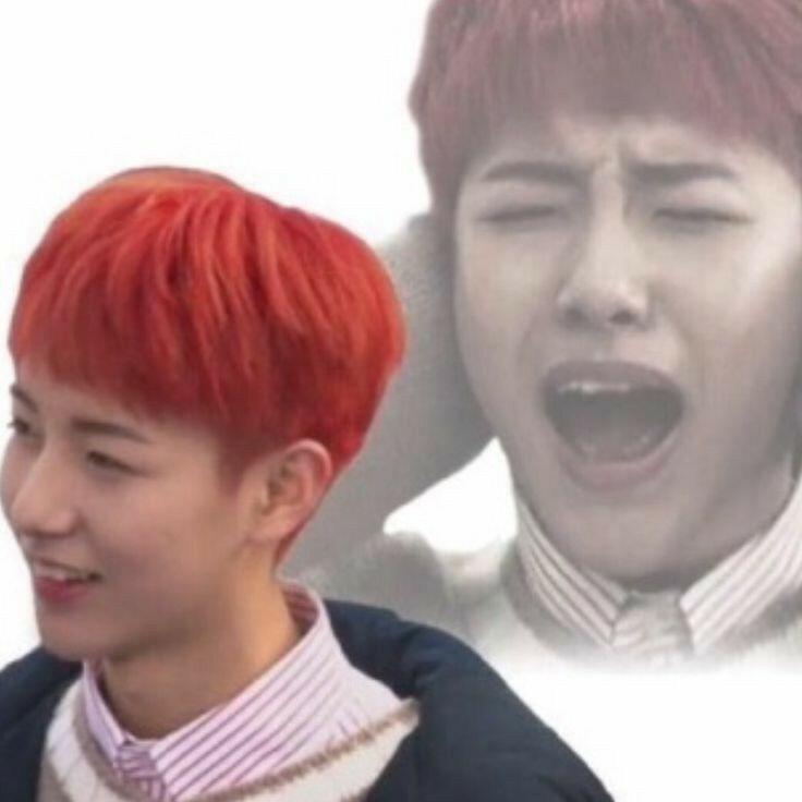 Kumpulan Meme NCT Yang Stickerable,mana Nih Favorit Kalian?