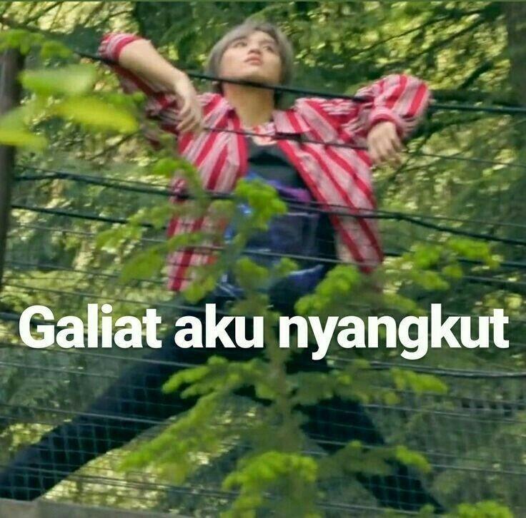 Kumpulan Meme NCT Yang Stickerable,mana Nih Favorit Kalian?