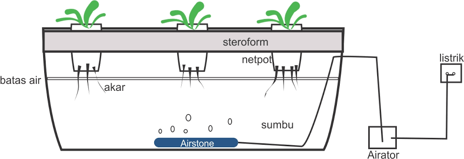 6 Cara Bercocok Tanam Secara Hidroponik Dirumah Dengan Modal Sederhana