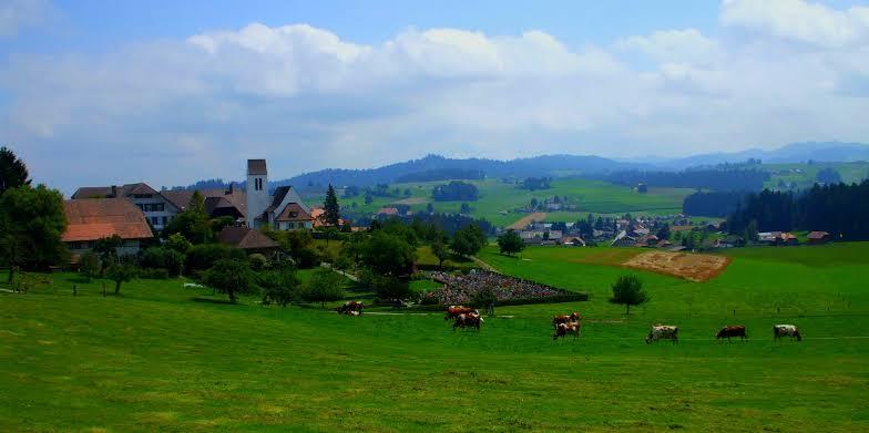 Kejunya Tom And Jerry, Swiss Emmentaler
