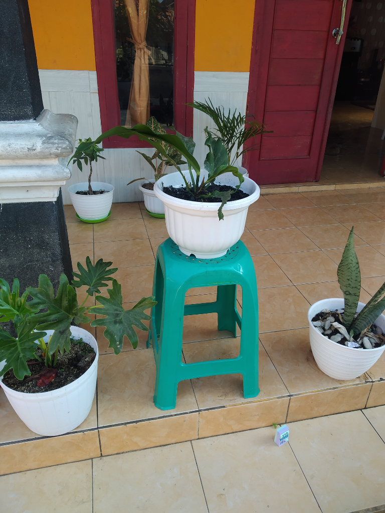 Si Hijau Yang Menyejukkan Hati