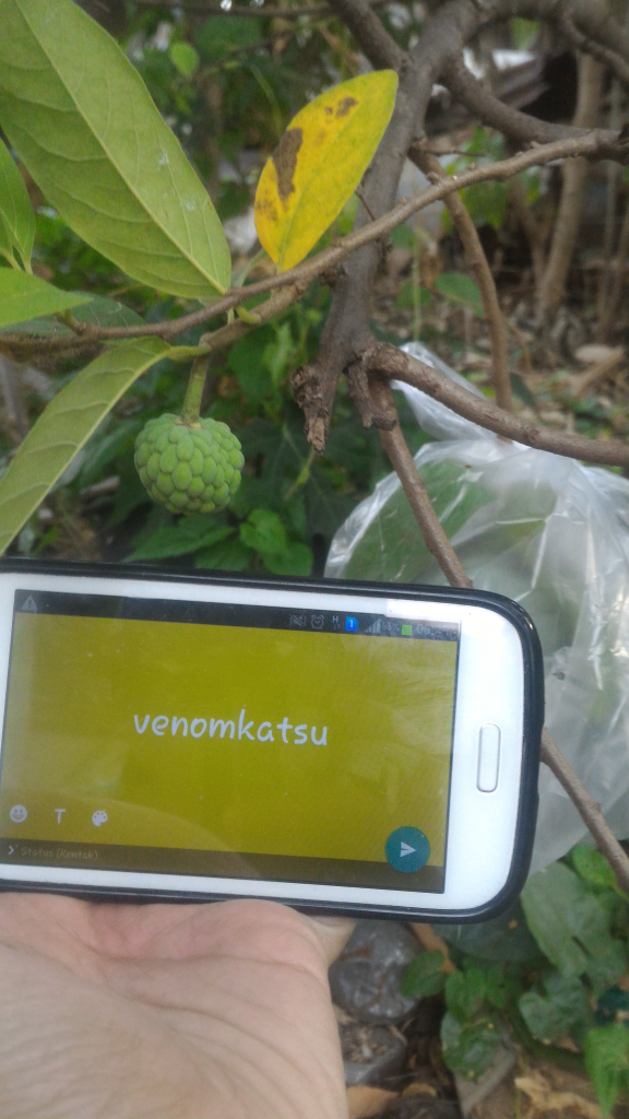 Pohon Srikaya GanSist Malas Berbuah? Coba Siasati Dengan Cara Ini!