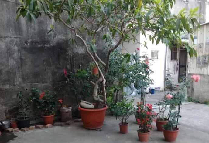 Manfaat Bercocok Tanam Dan Berkebun Di Rumah Saja, Salah Satunya Hilangkan Stres!