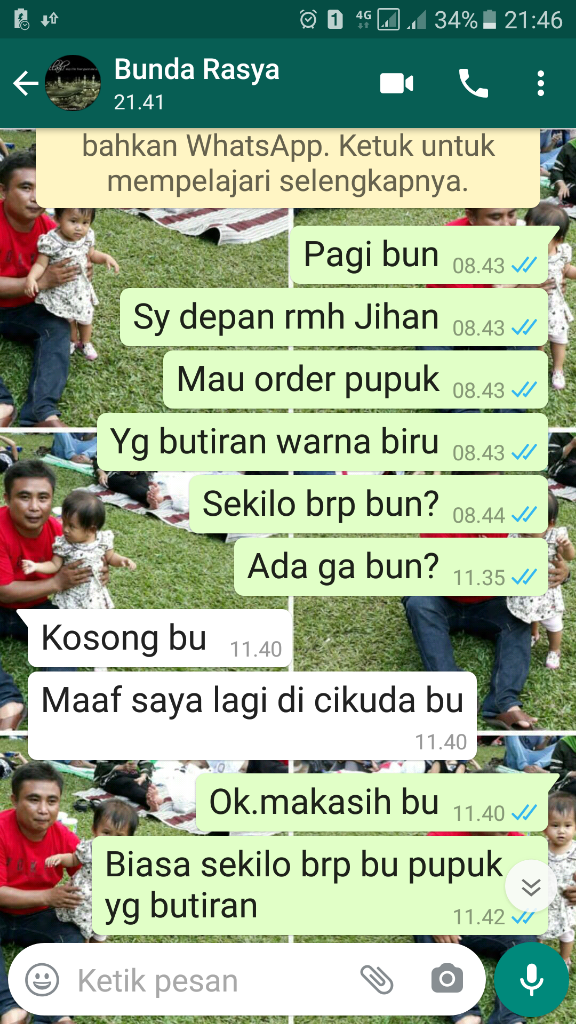 5 Cara Merawat Tanaman Agar Subur, Apa Saja?
