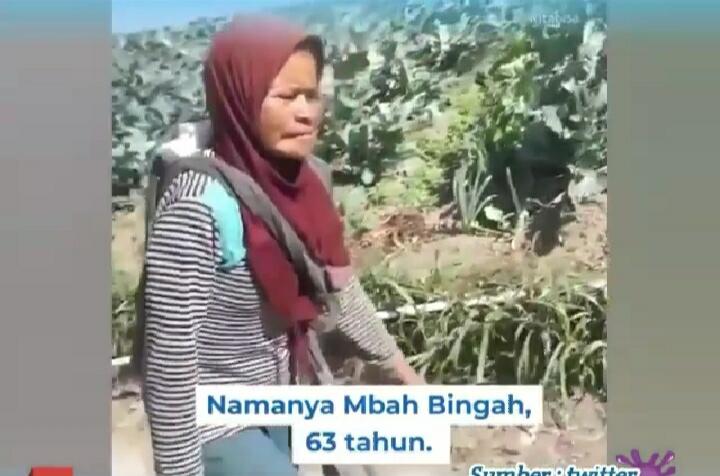 Inspiratif! Wanita Usia 63 Tahun Naik Turun Gunung Untuk Memungut Sampah di Merbabu