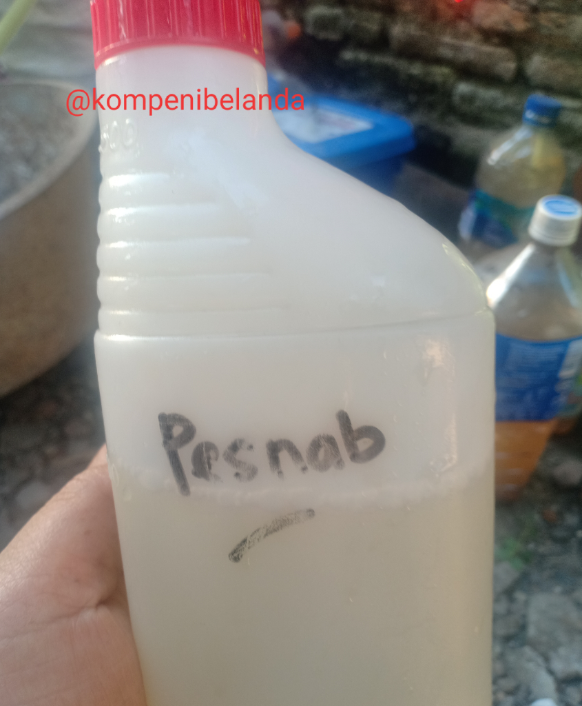 Daun Cabe Keriting? Jangan Panik, Pesnab (Pestisida Nabati) Saja!