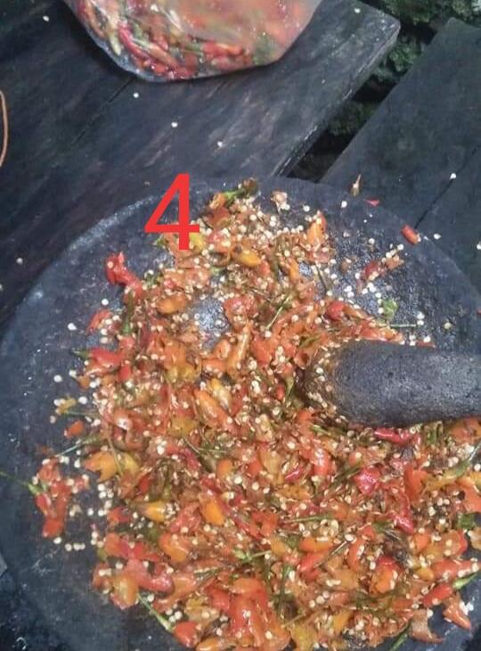 Daun Cabe Keriting? Jangan Panik, Pesnab (Pestisida Nabati) Saja!