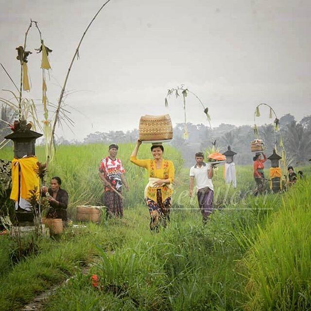 Mengenal Sistem Irigasi Tradisional Bali Di Museum Subak Where Your Hot Sex Picture