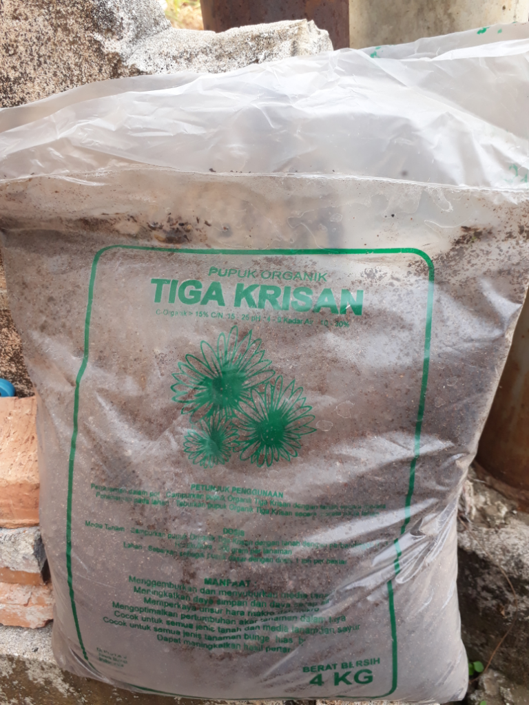 5 Cara Merawat Tanaman Agar Subur, Apa Saja?