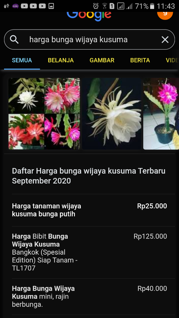 5 Cara Merawat Tanaman Agar Subur, Apa Saja?