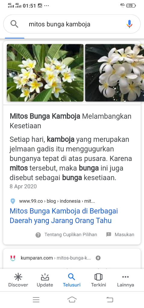 Fakta Mistis Dari Hasil Gosip Ibu-ibu Kompleks Tentang Bunga Kamboja, Kepoin Yuk Ah! 