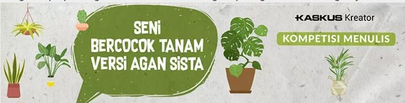 Siapa Bilang Budidaya Seledri Sulit? Ikuti Tips Dari Ane, Dan Buktikan Kemudahannya.