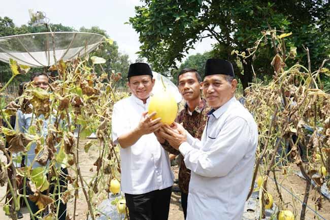 Kesejahteraan Petani Jadi Fokus Utama Enos-Yudha