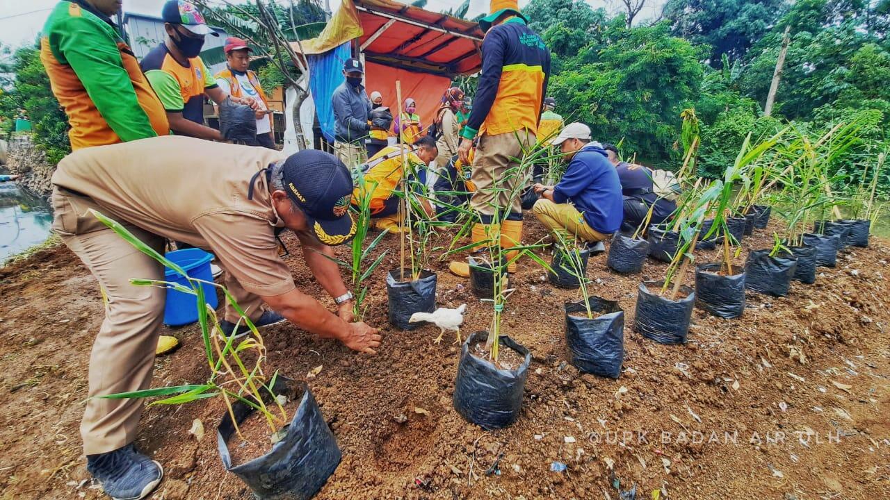 Giat Urban farming di badan air Cipinang dengan menanam ...