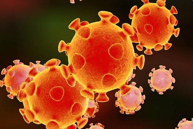 Studi: Virus Corona Baru Mampu Menyerang Otak
