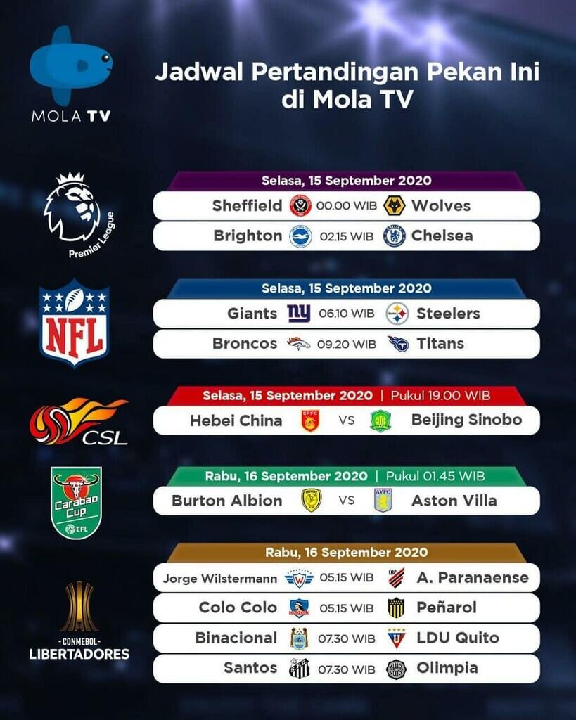 Luar Biasa, Mola TV Ukir Rekor Fantastis Pekan Ini!